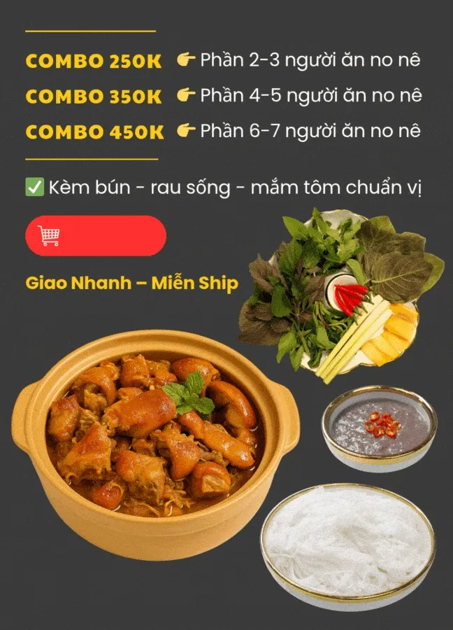 Heo giả cầy tphcm 3 combo 250k 350k 450k đầy đủ bún rau